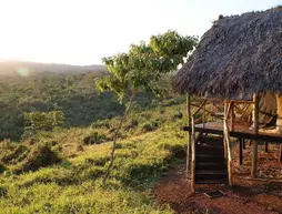 Crater Forest Tented Camp | Arusha Bölgesi - Karatu