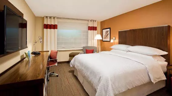 Four Points by Sheraton Buffalo Grove | İllinois - Buffalo Grove