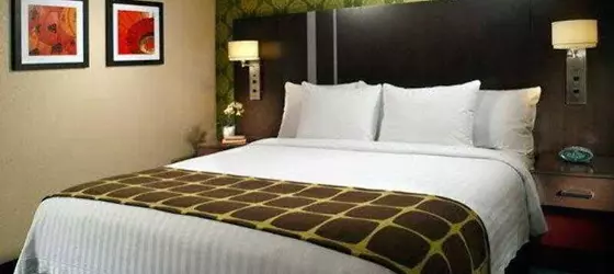 Fairfield Inn & Suites by Marriott Washington Downtown | District of Columbia - Washington (ve civarı) - Washington - Northwest