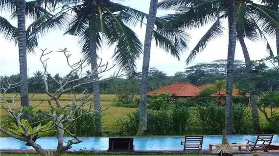 Panorama Hotel | Bali - Ubud - Peliatan