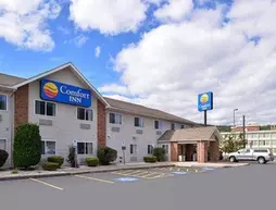 Comfort Inn Bradford | Pensilvanya - Mead Township - Bradford