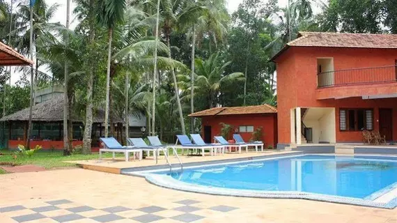 Deshadan Cliff And Beach Resort | Kerala - Thiruvananthapuram Bölgesi - Varkala