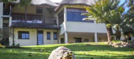 Winelands Villa Guesthouse and Cottages | Western Cape (il) - West Coast DC - Drakenstein - Cape Town (ve civarı) - Cape Town - Somerset West