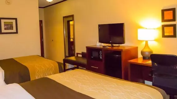 Comfort Inn & Suites Ardmore | Oklahoma - Ardmore (ve civarı) - Ardmore