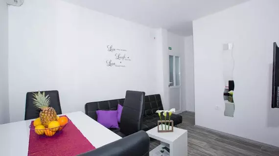 Apartments Villa Roza | Dubrovnik-Neretva - Dubrovnik (ve civarı) - Dubrovnik - Prijevor