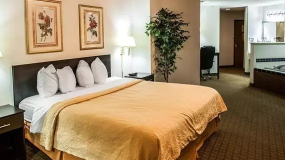 Quality Inn Columbia City | Indiana - Fort Wayne (ve civarı) - Columbia City