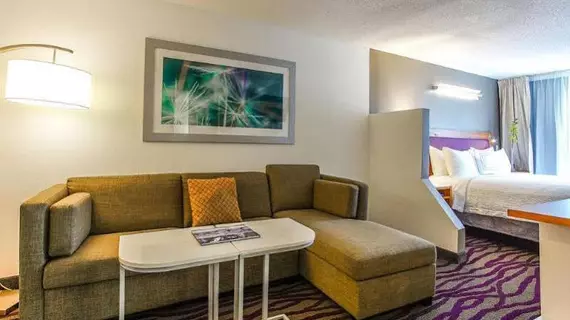 SpringHill Suites Savannah Midtown | Georgia - Savannah (ve civarı) - Savana - Midtown