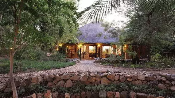 Motswari Private Game Reserve Timbavati | Mpumalanga - Mbombela - Kruger National Park