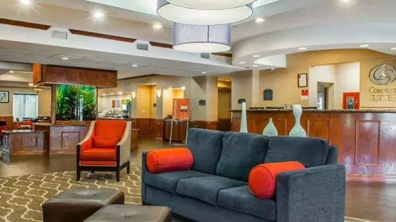 Comfort Suites Near Texas A&M - Corpus Christi | Teksas - Corpus Christi (ve civarı) - Corpus Christi