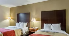 Comfort Inn Auburn | Massachusetts - Worcester (ve civarı) - Auburn