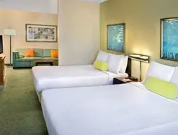 SpringHill Suites Danbury | Connecticut - Danbury (ve civarı) - Danbury