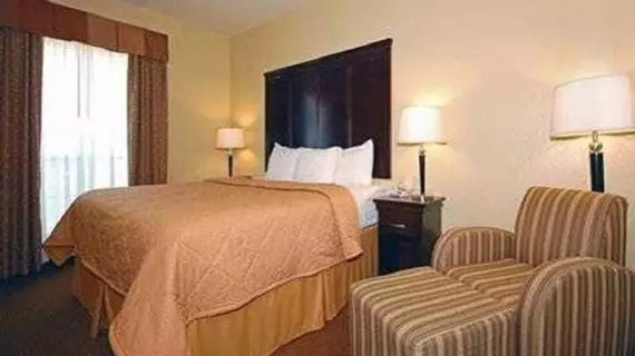 Comfort Inn Near SeaWorld | Teksas - San Antonio (ve civarı) - San Antonio - Batı San Antonio