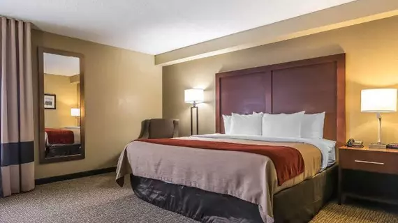 Comfort Inn & Suites Lexington | Kentucky - Lexington (ve civarı) - Lexington