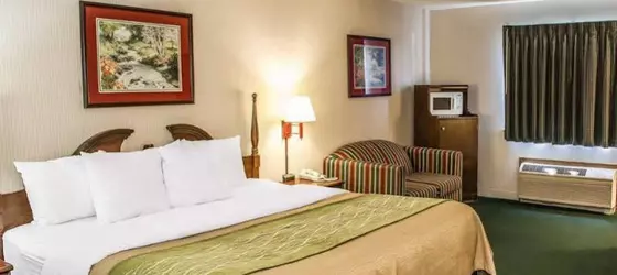 Comfort Inn Lebanon | Indiana - Indianapolis (ve civarı) - Lebanon