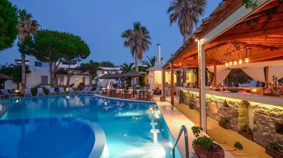 Alkyoni Beach Hotel | Ege Adaları - Naxos