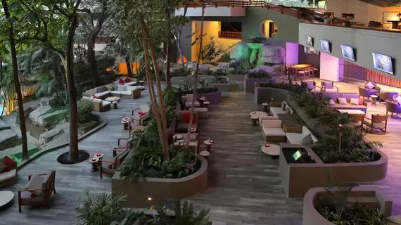 Marriott Tuxtla Gutierrez Hotel | Chiapas - Tuxtla Gutierrez (ve civarı) - Tuxtla Gutierrez