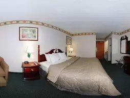 COMFORT INN & SUITES | Michigan - Detroit (ve civarı) - Taylor