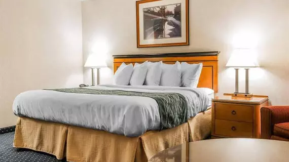 Quality Inn Auburn Hills | Michigan - Detroit (ve civarı) - Auburn Hills