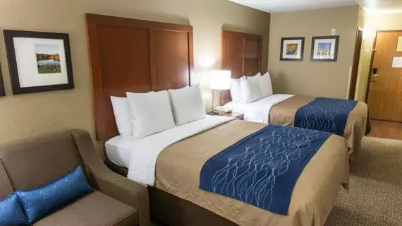 Comfort Inn and Suites | Missouri - Springfield (ve civarı) - Springfield