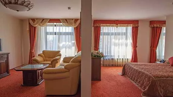 Smolninskaya Hotel | Leningrad Bölgesi - St. Petersburg (ve civarı) - St. Petersburg - Tsentralny