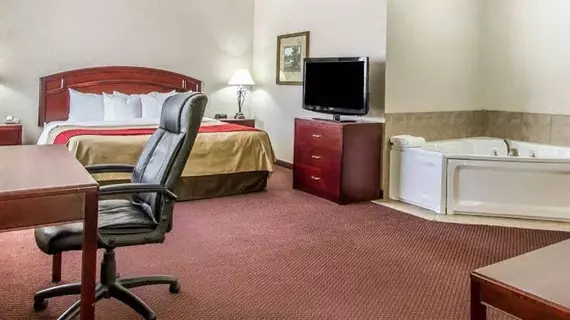 Comfort Inn And Suites | Iowa - Burlington (ve civarı) - Fort Madison