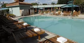 Wyndham Garden Hotel Austin | Teksas - Austin (ve civarı) - Austin