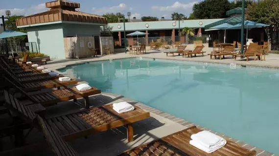 Wyndham Garden Hotel Austin | Teksas - Austin (ve civarı) - Austin