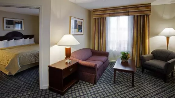 Comfort Inn and Suites Ingersoll | Ontario - London (ve civarı) - Ingersoll