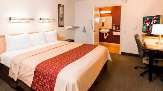 Red Roof Inn San Antonio Airport | Teksas - San Antonio (ve civarı) - San Antonio - Kuzey San Antonio - SAT Havalimanı