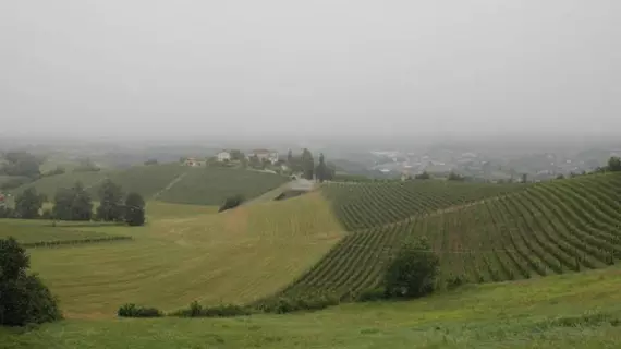 Enolocanda Del Tufo | Piedmont - Cuneo (il) - Dogliani