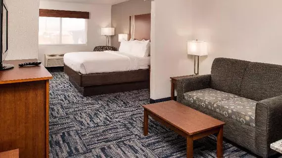 Holiday Inn Express & Suites Alamogordo Highway 54/70 | New Mexico - Alamogordo (ve civarı) - Alamogordo