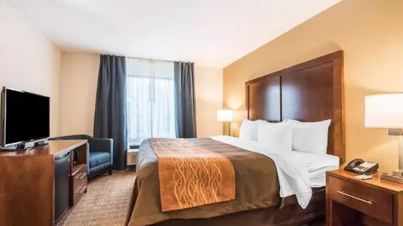 Comfort Inn and Suites Brattleboro | Vermont - Windham County - Brattleboro