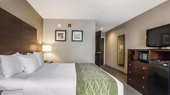 Comfort Inn Demopolis | Alabama - Demopolis (ve civarı) - Demopolis