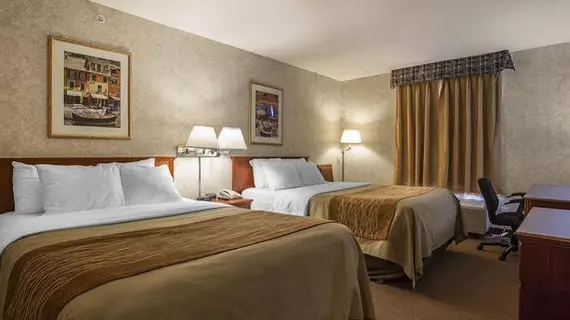 Comfort Inn Lethbridge | Alberta - Lethbridge (ve civarı) - Lethbridge