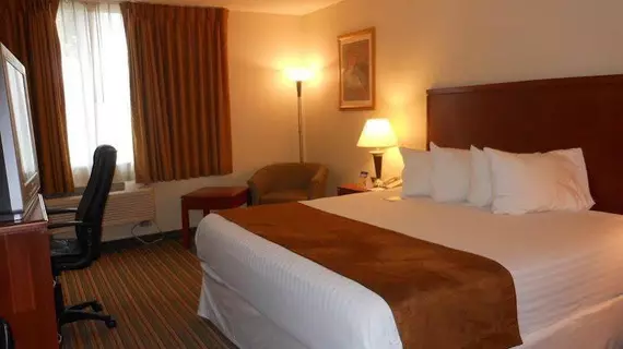 Airport Plaza Inn | Missouri - St. Louis (ve civarı) - Bridgeton