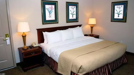 Clarion Inn and Suites | Georgia - Atlanta (ve civarı) - Atlanta - Downtown Atlanta