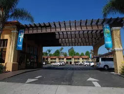 Stanford Inn & Suites Anaheim | Kaliforniya - Orange County - Anaheim - Anaheim Resort