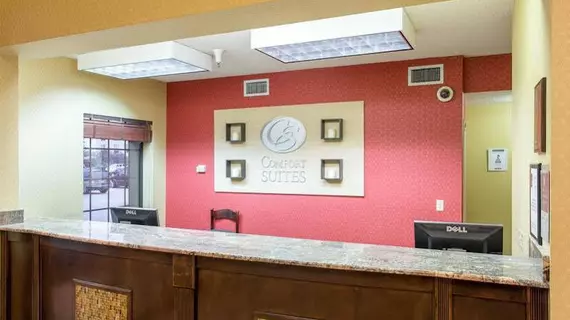 Comfort Suites Port Allen | Louisiana - Baton Rouge (ve civarı) - Port Allen