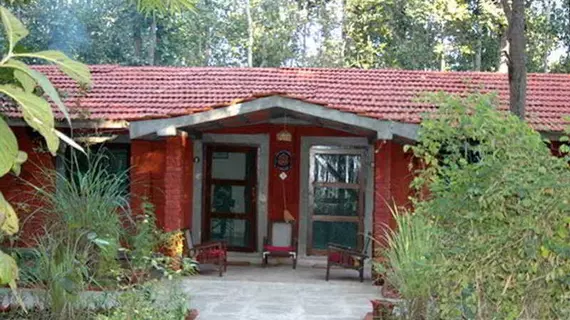 Kanha Jungle Lodge | Madya Pradeş - Mandla - Kisli