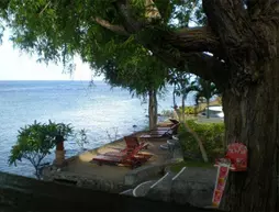 Dancing Dragon Cottages | Bali - Karangasem - Bunutan