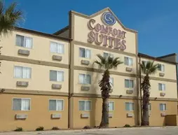 Comfort Suites Airport North | Teksas - San Antonio (ve civarı) - San Antonio - Kuzey San Antonio - SAT Havalimanı