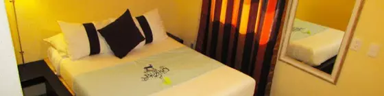 Hotel y Spa la Mansion del Burro Azul | Queretaro - Queretaro (ve civarı) - Queretaro - Queretaro Şehir Merkezi