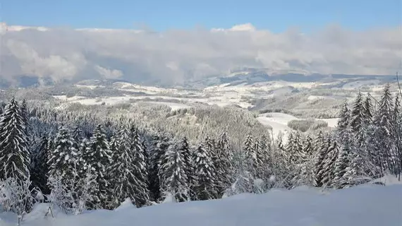 HOFGUT STERNEN | Baden-Wuerttemberg - Breitnau