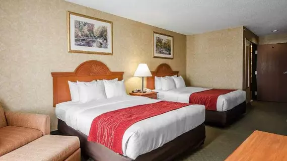 Comfort Inn & Suites | Kentucky - Owensboro (ve civarı) - Rockport