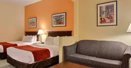 Comfort Suites Airport | Florida - Jacksonville (ve civarı) - Jacksonville