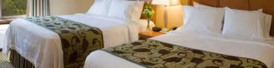 Fairfield Inn & Suites Jacksonville Butler Boulevard | Florida - Jacksonville (ve civarı) - Jacksonville - Southpoint