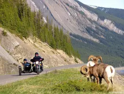 Mount Robson Inn | Alberta - Jasper