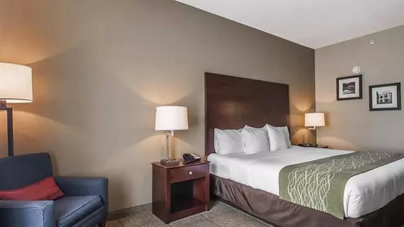 Comfort Inn Demopolis | Alabama - Demopolis (ve civarı) - Demopolis