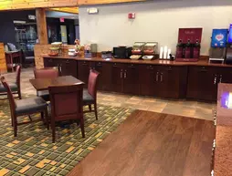 Best Western Plus Holland Inn & Suites