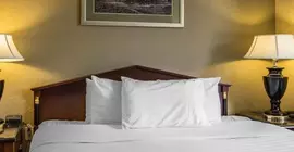 Econo Lodge Inn and Suites Greenville | Güney Karolayna - Greenville - Spartanburg (ve civarı) - Greenville